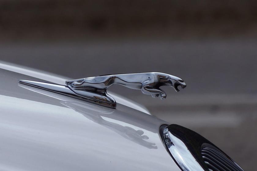 Jaguar