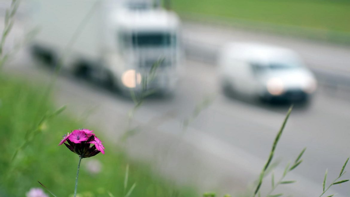 elektrische auto’s zijn niet altijd de beste oplossing
