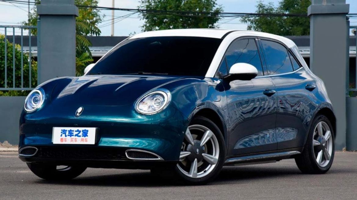 ora-good-cat-intro ORA Good Cat