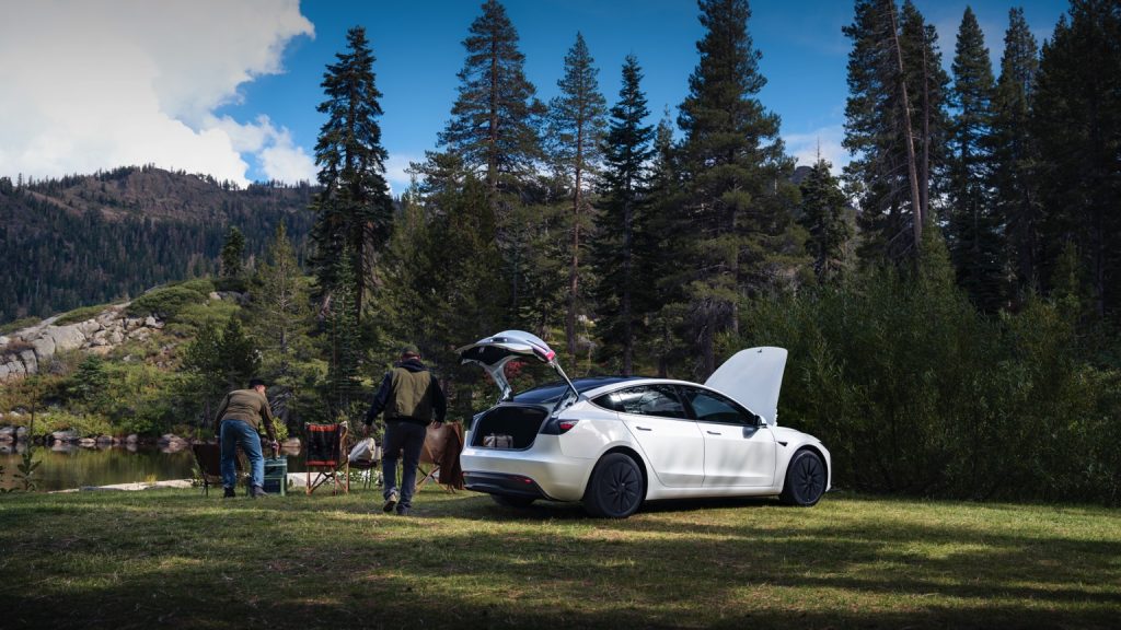  Model 3 Standard RWD