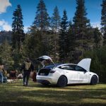  Model 3 Standard RWD